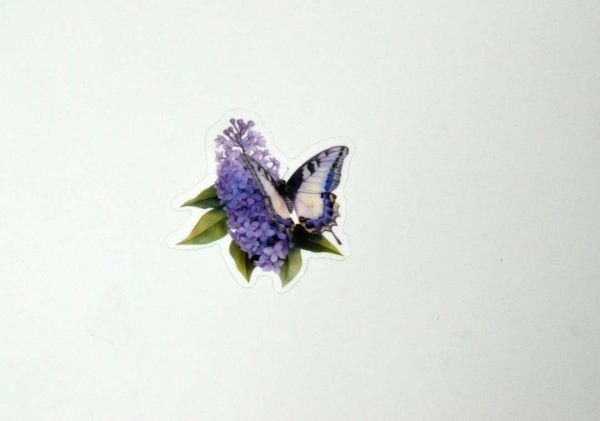 Butterfly Stickers Transparent - Image 17