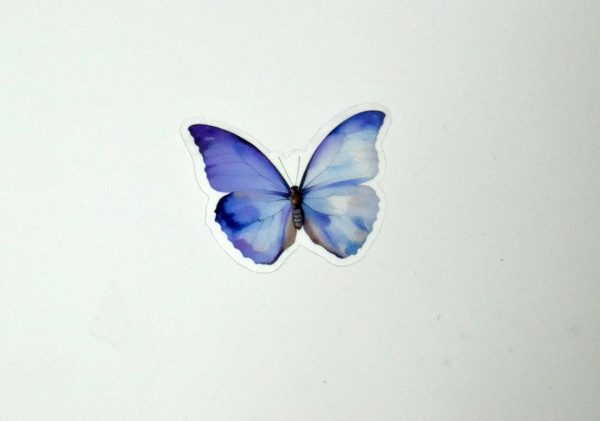 Butterfly Stickers Transparent - Image 12