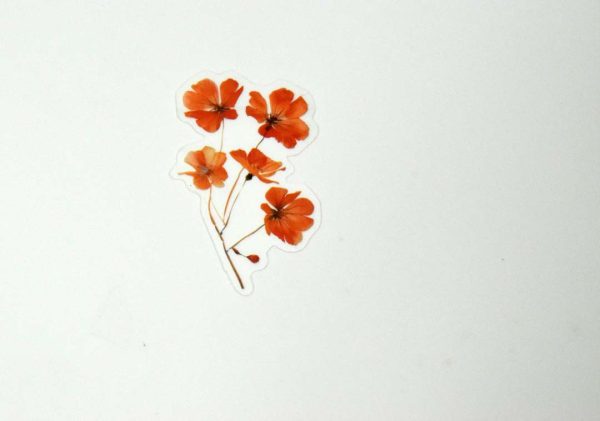 Floral Stickers Transparent - Image 50