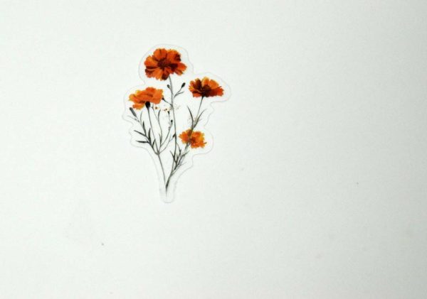 Floral Stickers Transparent - Image 49