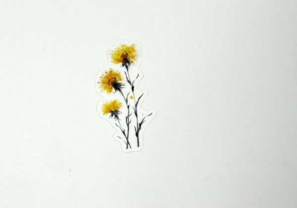 Floral Stickers Transparent - Image 47