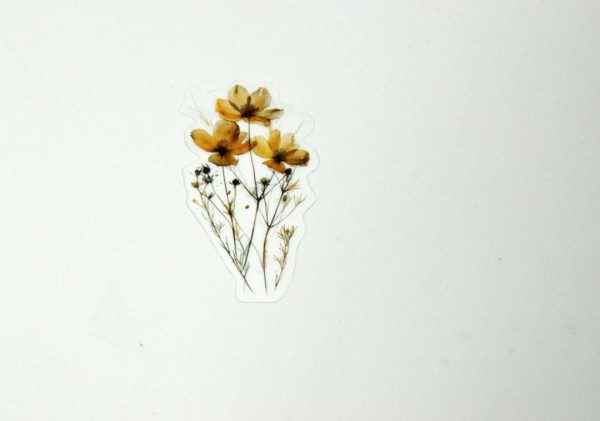 Floral Stickers Transparent - Image 46