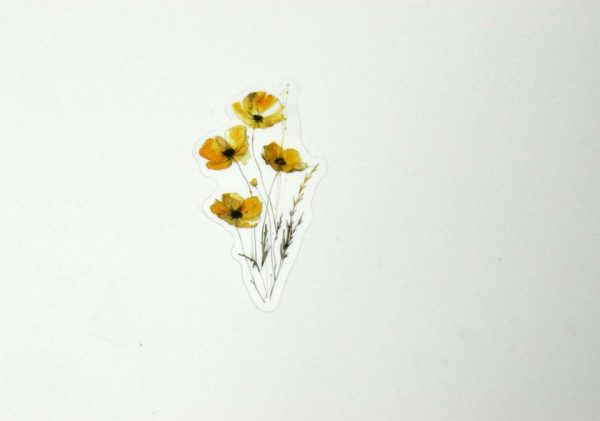 Floral Stickers Transparent - Image 45