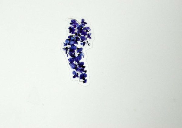 Floral Stickers Transparent - Image 44