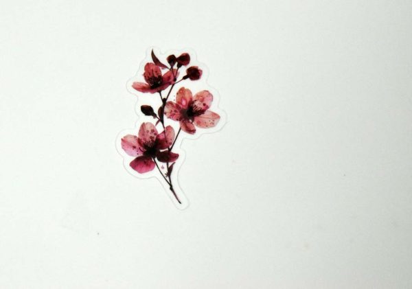 Floral Stickers Transparent - Image 43