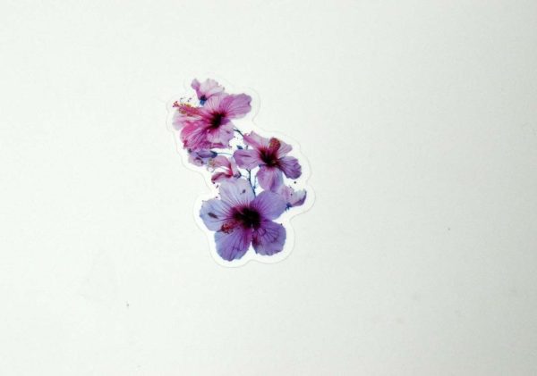 Floral Stickers Transparent - Image 42
