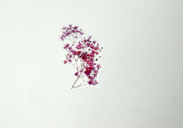 Floral Stickers Transparent - Image 41