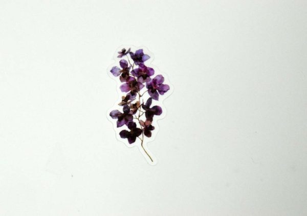 Floral Stickers Transparent - Image 39
