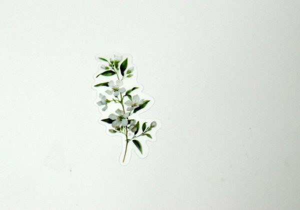 Floral Stickers Transparent - Image 38