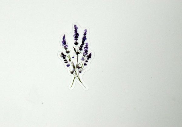Floral Stickers Transparent - Image 36