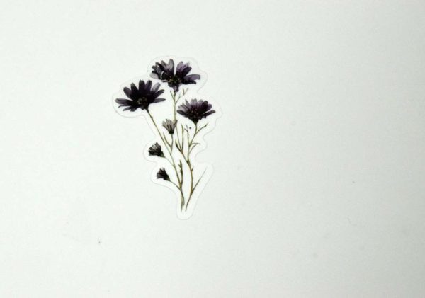 Floral Stickers Transparent - Image 34