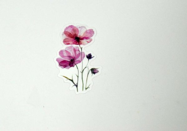 Floral Stickers Transparent - Image 32