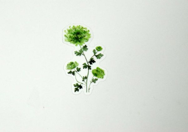 Floral Stickers Transparent - Image 31