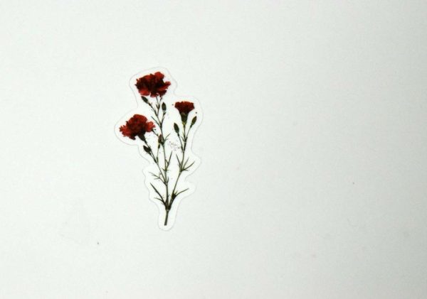 Floral Stickers Transparent - Image 28