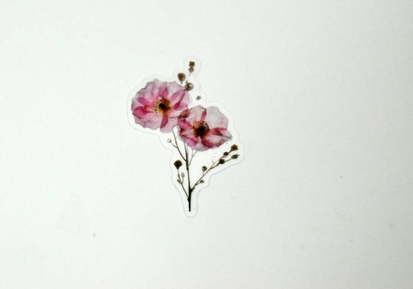 Floral Stickers Transparent - Image 26