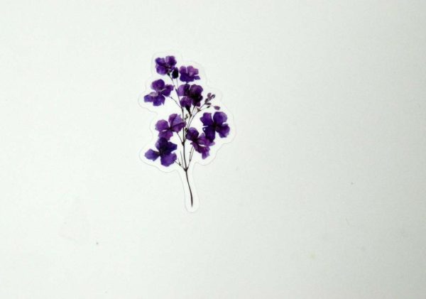 Floral Stickers Transparent - Image 25