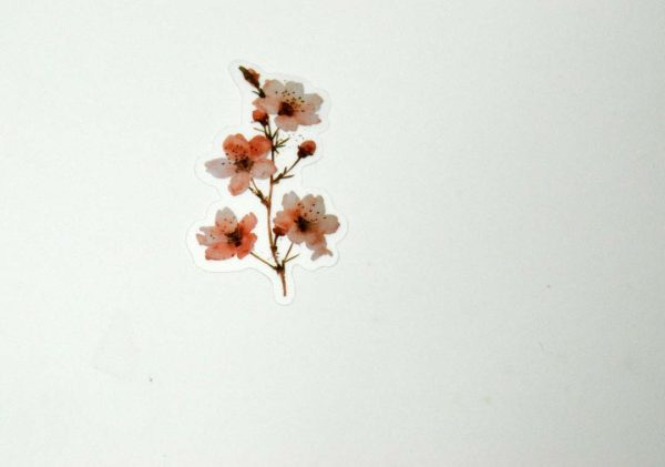 Floral Stickers Transparent - Image 21