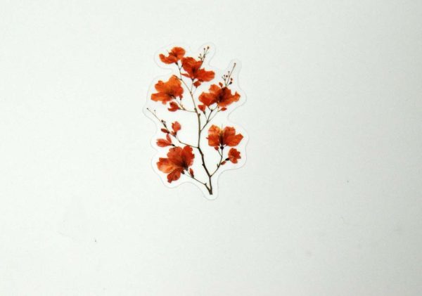 Floral Stickers Transparent - Image 20