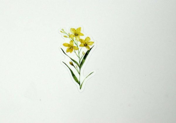 Floral Stickers Transparent - Image 19