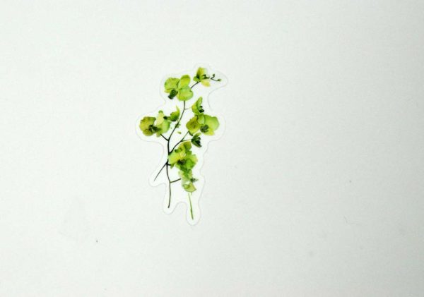 Floral Stickers Transparent - Image 18
