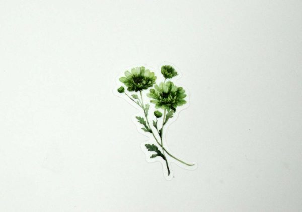Floral Stickers Transparent - Image 17