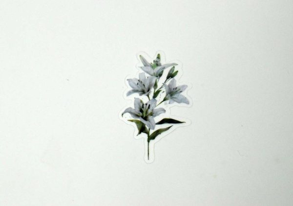 Floral Stickers Transparent - Image 16