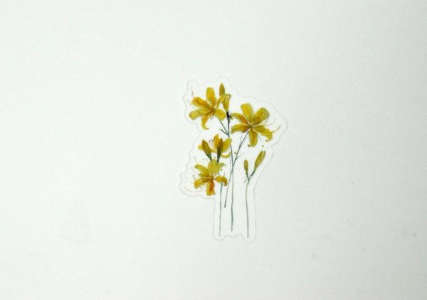 Floral Stickers Transparent - Image 11