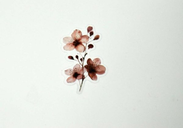 Floral Stickers Transparent - Image 10