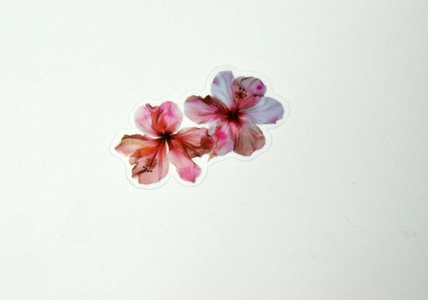Floral Stickers Transparent - Image 7