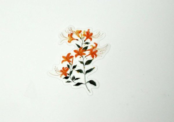 Floral Stickers Transparent - Image 4