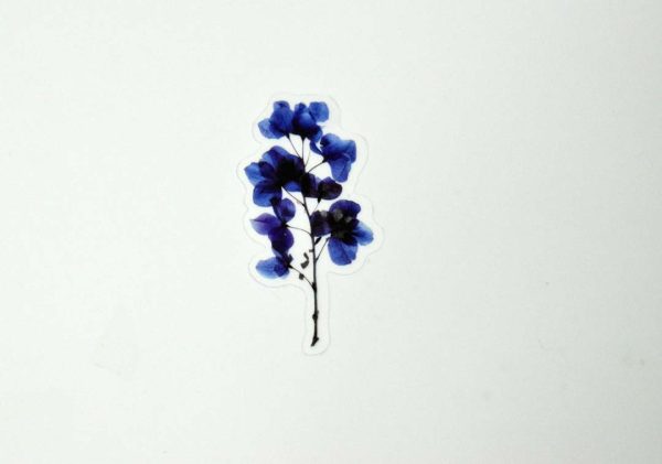 Floral Stickers Transparent - Image 3