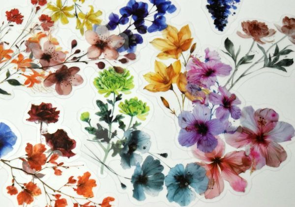 Floral Stickers Transparent